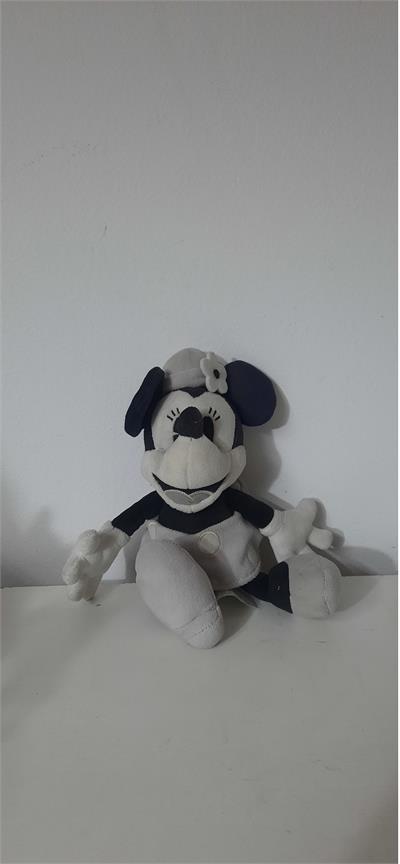 Minie  para alugar em Guaratinguetá/SP