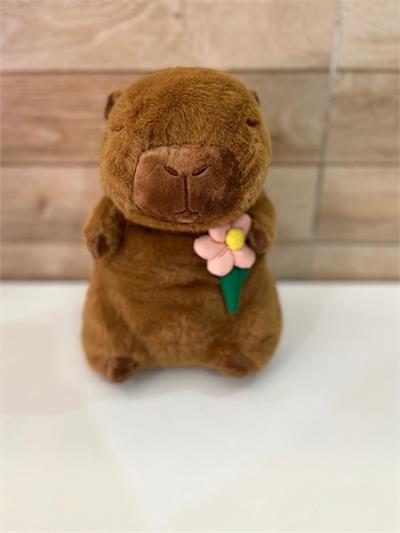 TEMA CAPIVARA 50cm para alugar em Ilhabela/SP