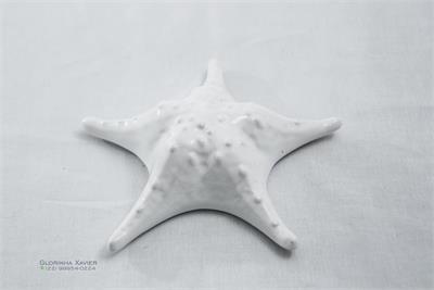 CONCHA BRANCO 15X12CM para alugar em MACAE/RJ