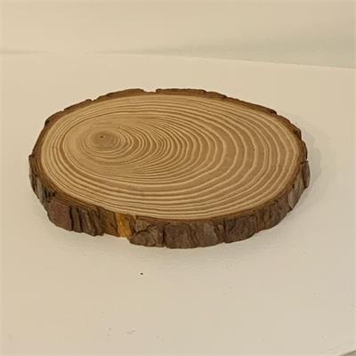 TRONCO DE MESA BAIXO RIZZO ( 6CM A X 15CM D ) para alugar em São Bernardo do Campo/SP
