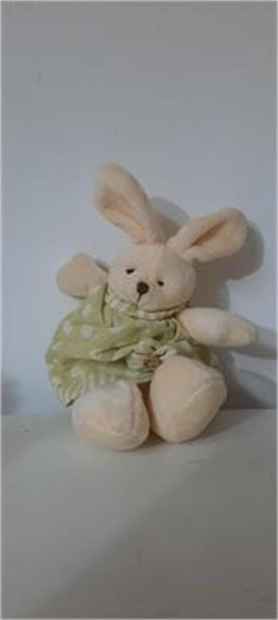 Coelhos para alugar em Guaratinguetá/SP