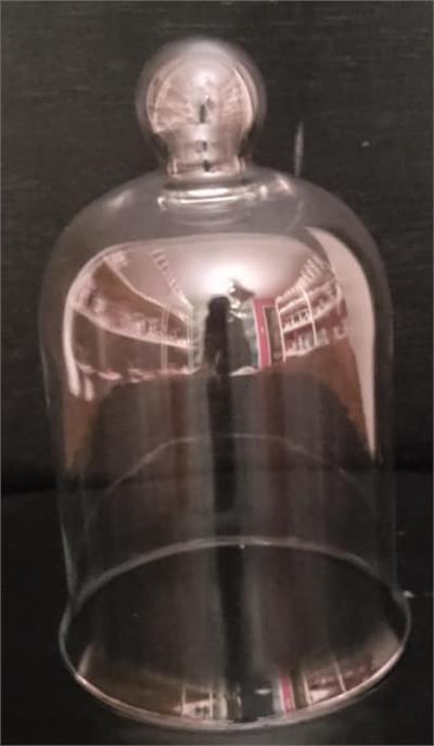 VASO ROSA SALMAO      A13CM para alugar em MACAE/RJ