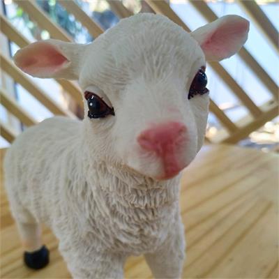 Vaca marrom para alugar em Niterói/RJ