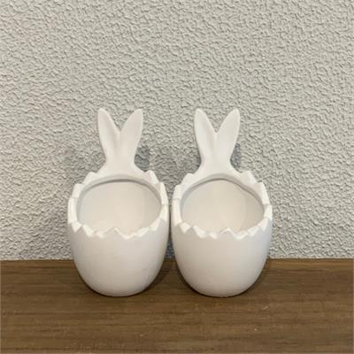 OVO RATTAM MUSGO(18CM A) para alugar em São Bernardo do Campo/SP