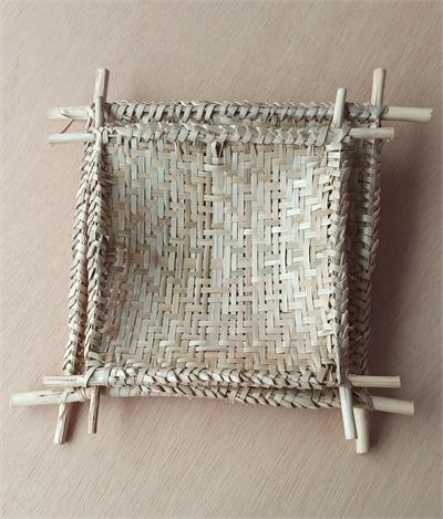 CACTO GALHOS           A19X7CM para alugar em MACAE/RJ