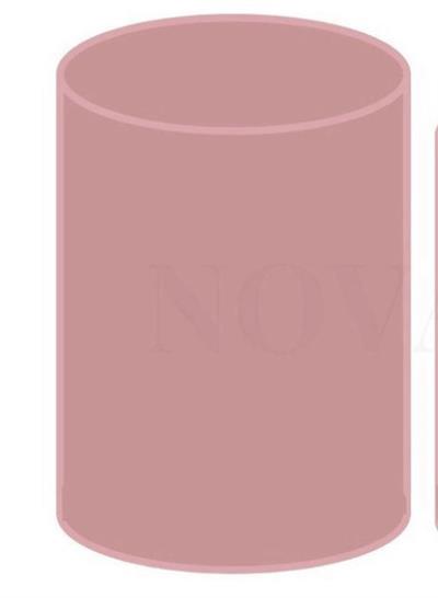 CAPA CILINDRO ROSE P para alugar em São José dos Campos/SP