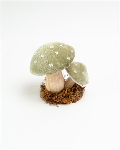Casinha Coração Pinus P para alugar em Piracicaba/SP
