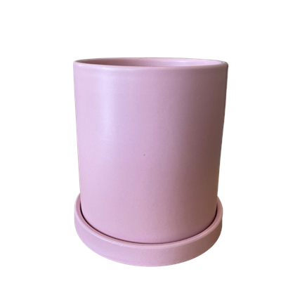 Boleira sextavada rosa G 21cm D x 16cm A para alugar em ARACAJU/SE