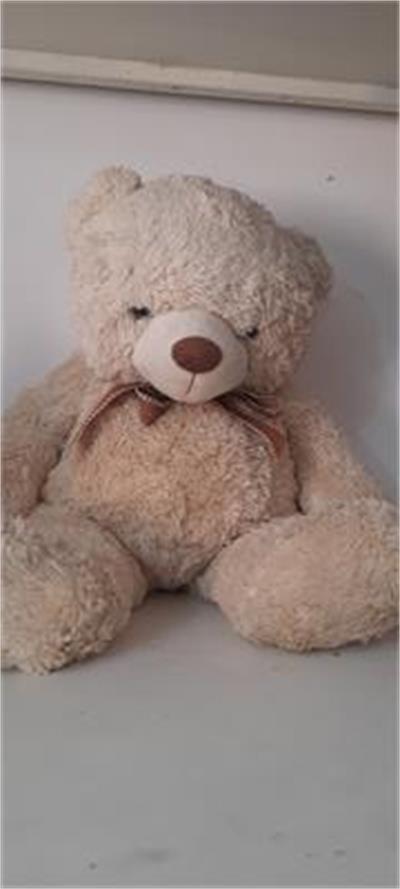 Urso de pelucia para alugar em Guaratinguetá/SP