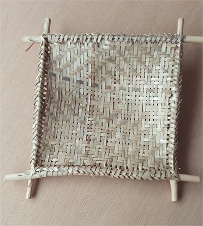 CACTO GALHOS           A19X7CM para alugar em MACAE/RJ