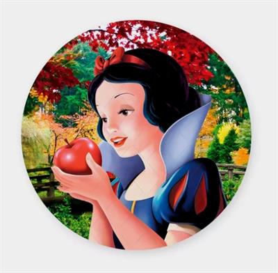 KIT BRANCA DE NEVE completo para alugar em Ilhabela/SP