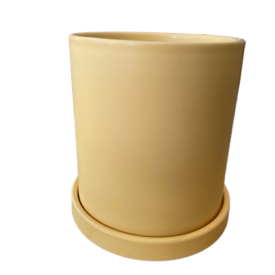 Boleira Orbis MD amarelo BB 20D X 13A para alugar em ARACAJU/SE