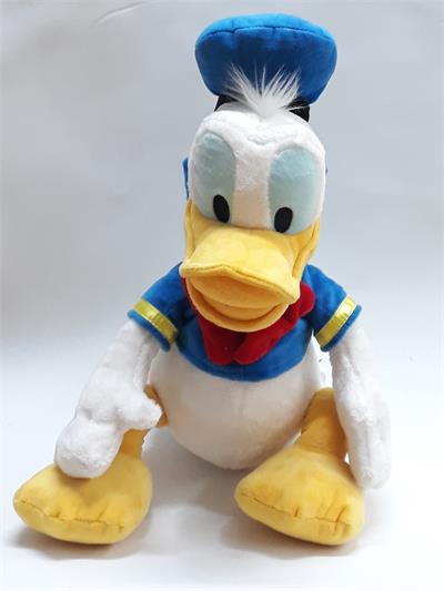 Daisy Pelúcia  para alugar em Campinas/SP