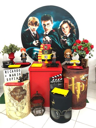 Harry Potter para alugar em Campinas/SP