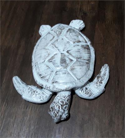 CONCHA BRANCO 15X12CM para alugar em MACAE/RJ