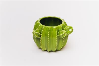 Vaso Cacto Cer Verde P para alugar em Piracicaba/SP