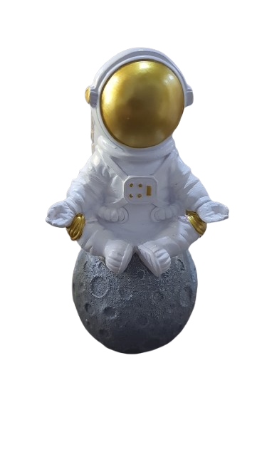 ASTRONAUTA para alugar em Piracicaba/SP
