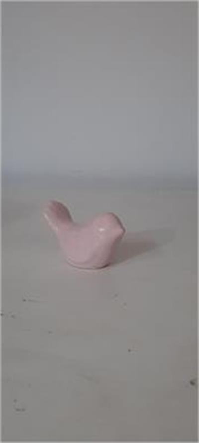 Passarinho rosa para alugar em Guaratinguetá/SP