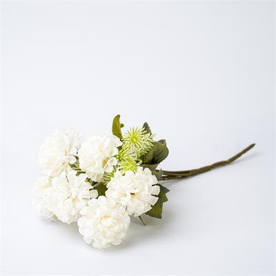 HORTENSIA BRANCA para alugar em Piracicaba/SP