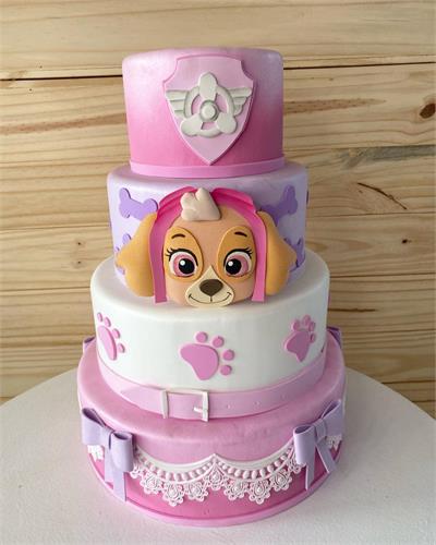 display patrulha canina skye para alugar em Limeira/SP