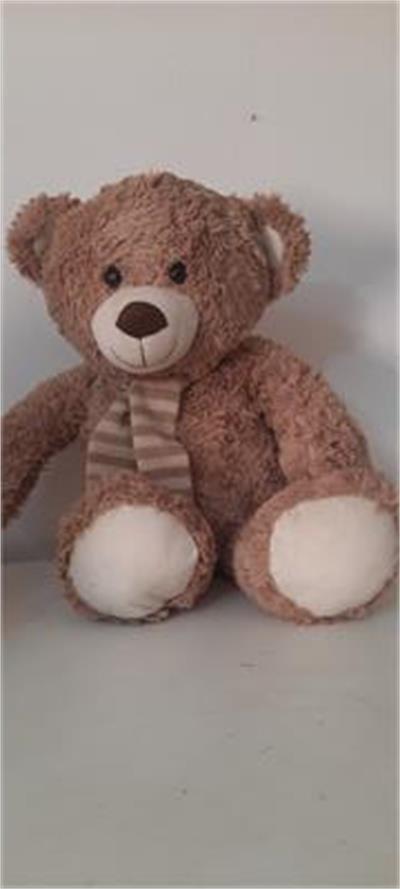 Urso de pelucia para alugar em Guaratinguetá/SP