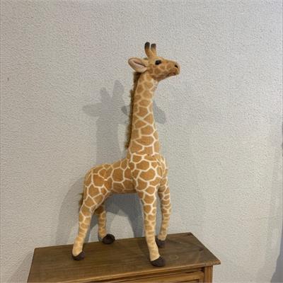 TECIDO SUBLIMADO RETANGULAR SAFARI GIRAFA para alugar em São Bernardo do Campo/SP