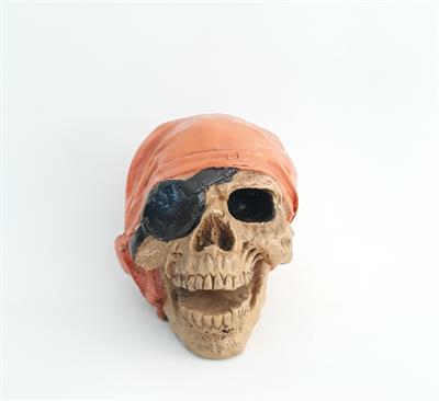 Caveira Conjunto  para alugar em Campinas/SP