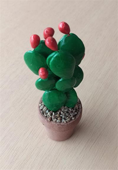 CACTO 3 GALHOS         A18X7CM para alugar em MACAE/RJ