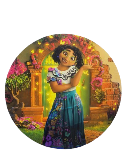 Decoração Encanto  para alugar em Campinas/SP