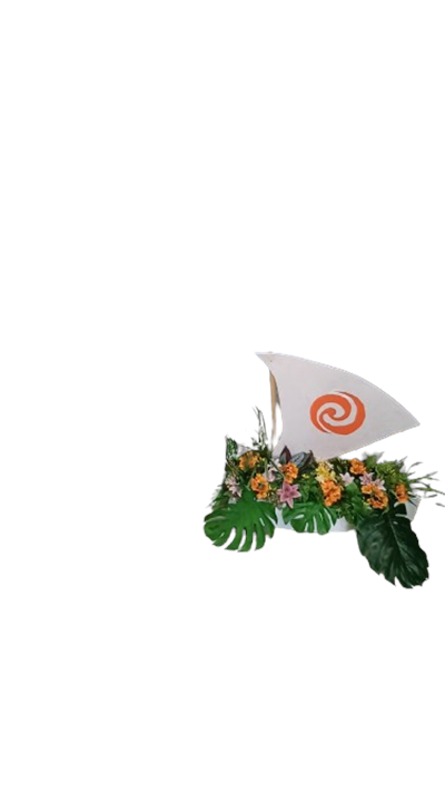 DISPLAY MOANA  para alugar em Piracicaba/SP