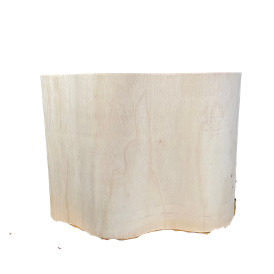 Cacto mdf 39cm A para alugar em ARACAJU/SE
