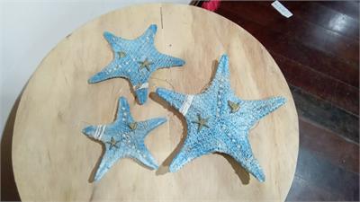 Estrela do Mar para alugar em Niterói/RJ