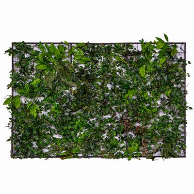 LUSTRE STAMBUL ESFERA - 0,75 X 0,40 para alugar em Ribeirão Preto/SP