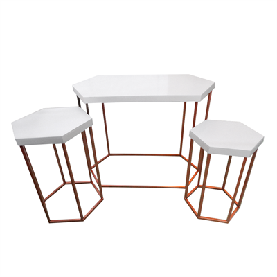 suporte sextavado rose gold e mdf para alugar em Limeira/SP