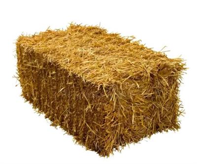 Roda de carroça mdf para alugar em Campinas/SP