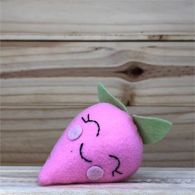 Kiwi de Feltro para alugar em Limeira/SP