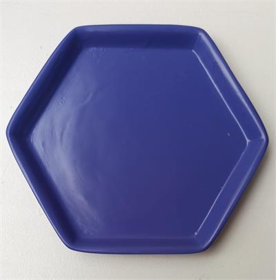 BANDEJA ROXA            13X25CM para alugar em MACAE/RJ