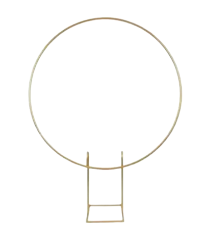 ASTRONAUTA para alugar em Piracicaba/SP