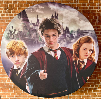 Harry Potter K1 para alugar em São Paulo/SP