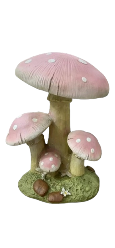 COGUMELO G ROSA FIBRA para alugar em Piracicaba/SP
