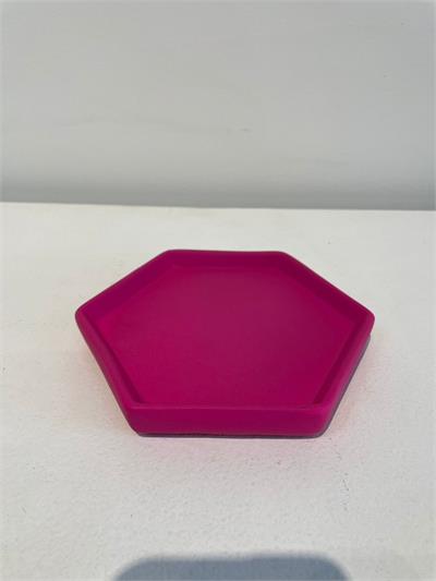  Coqueiro Rosa 1,50 mt  para alugar em Limeira/SP