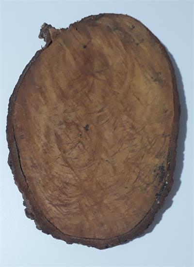 BOLACHA MADEIRA 23X33X5CM para alugar em MACAE/RJ
