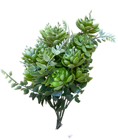folhagem Lisianthus para alugar em ARACAJU/SE