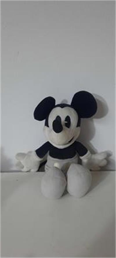 Mickey Mouse para alugar em Guaratinguetá/SP