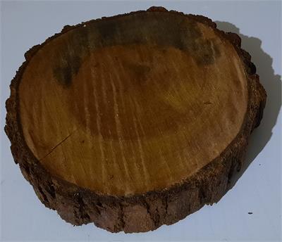 VASO BARRO PP para alugar em MACAE/RJ