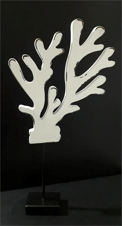 CONCHA BRANCO 15X12CM para alugar em MACAE/RJ