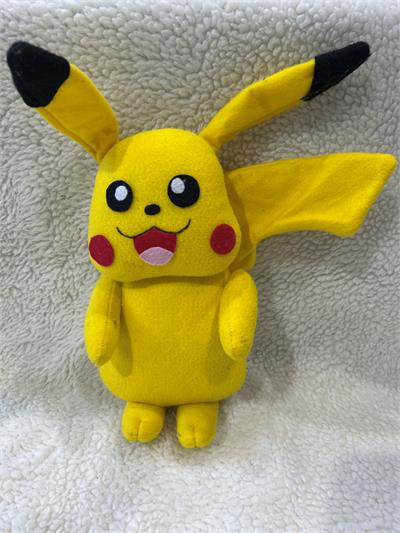 Sublimado Pokémon  para alugar em Niterói/RJ