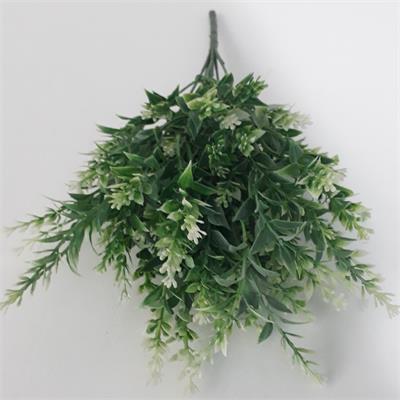 FLOR LAVANDA para alugar em MACAE/RJ