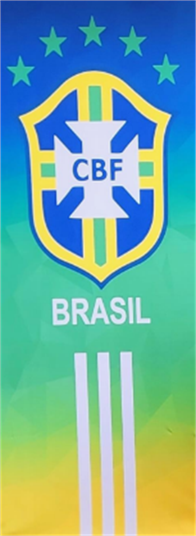 FUTEBOL BRASIL  para alugar em Piracicaba/SP