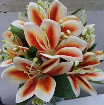 Buquê pequeno rosas e gerberas para alugar em São José dos Campos/SP